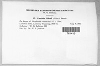 Image Associated With the Occurence